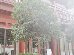 -莲西餐(曲江店)