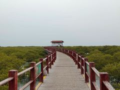 -北海金海湾红树林生态旅游区