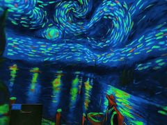 -天津梵高星空艺术馆(天河城旗舰店)