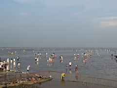 -奉贤海滩