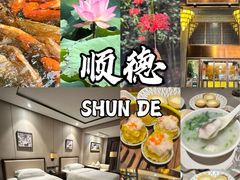 -佛山顺德香云纱园林酒店(清晖园店)