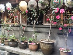 -龙姐私房菜(和顺古镇店)