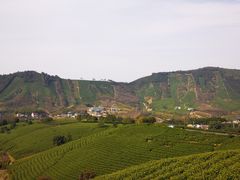 -帐篷客·溪龙茶谷度假酒店