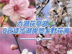 -花亭湖风景名胜区