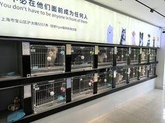 -翊宠yipet猫狗购宠庄园