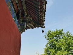 -洛阳白马寺