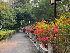 -广东外语外贸大学(白云山校区)