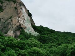 -印象普陀