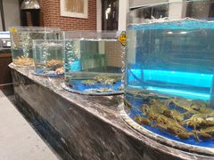 -正德楼果木烤鸭·渔家菜(东港店)