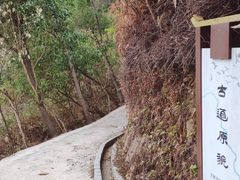 -羚羊峡古栈道森林公园