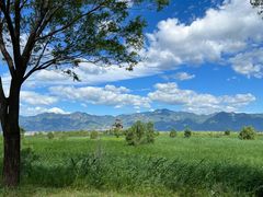 -野鸭湖国家湿地公园