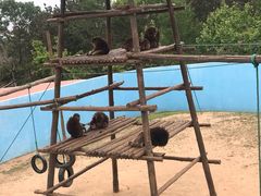 -西霞口神雕山野生动物世界