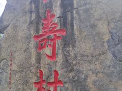 -长寿村
