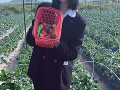 -光明小镇欢乐田园