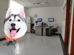 -首都医科大学附属北京潞河医院