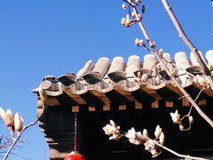 -三里河公园