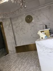 -潘多拉Hairsalon
