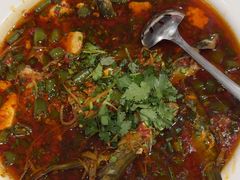 -院8里·少城记忆老川菜(宽窄巷子店)