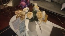 -演员的秘密·皮肤管理