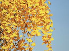 -南山风景名胜区