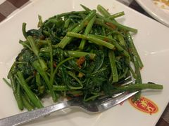 马来风光-文东记(马里士他路)