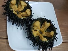 -海胆小馆(东北水饺·春柳店)