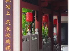 -广东花都湖国家湿地公园
