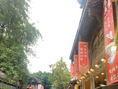 -小龙翻大江文化火锅(宽窄店)