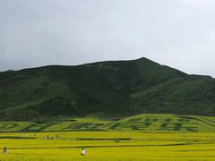 -扁都口生态休闲旅游区