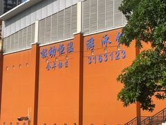 -极动室内恒温游泳馆