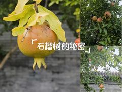 -北京颐和宾馆