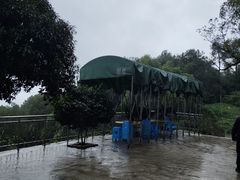 -金水泊山庄·花椒鸡(铁山坪店)