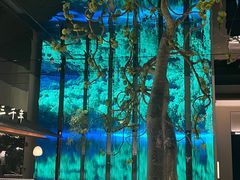 -桂满陇·海市蜃楼·黑金(国金店)