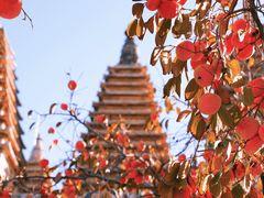 -北京石刻艺术博物馆(五塔寺)