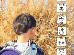 -汉长安城未央宫国家考古遗址公园