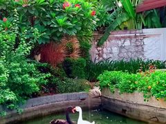 -厦门日月谷温泉渡假村