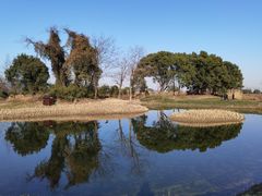 -良渚古城遗址公园