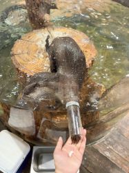 -Zoolung Zoolung动物主题公园(海信广场店)