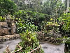-野象谷景区