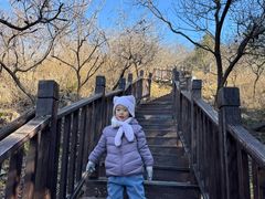-北京十三陵国家森林公园蟒山景区