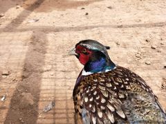 -山西乌金山旅游区