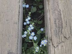 -白草畔自然风景区