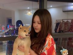 -柴犬小屋·柴餐厅·狗咖食堂(金鼎广场店)