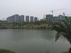 -枫香湖儿童公园