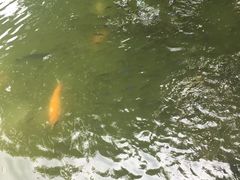 -珠海圆明新园