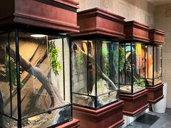 -帕帕拉兹宠物(亚洲旗舰店)