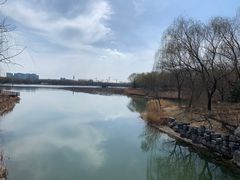 -大兴滨河森林公园