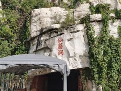 -仙蘑洞
