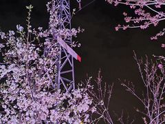 -西北湖绿化广场