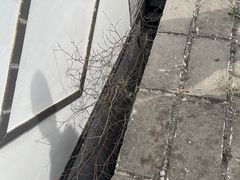 -遥桥古堡